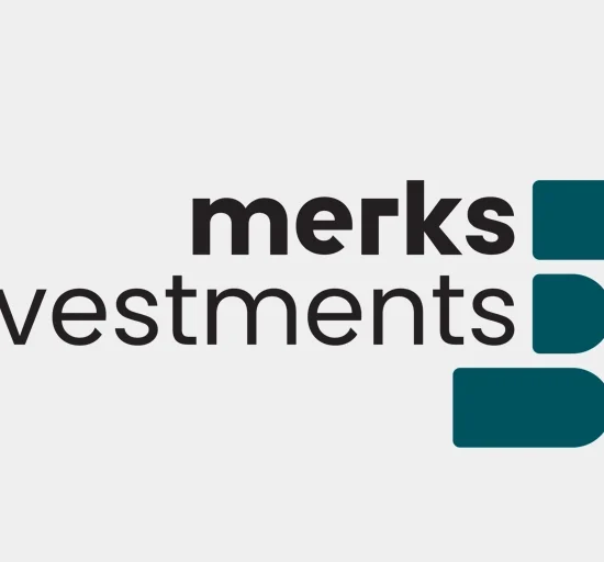 Merks Investments Limited kuruldu